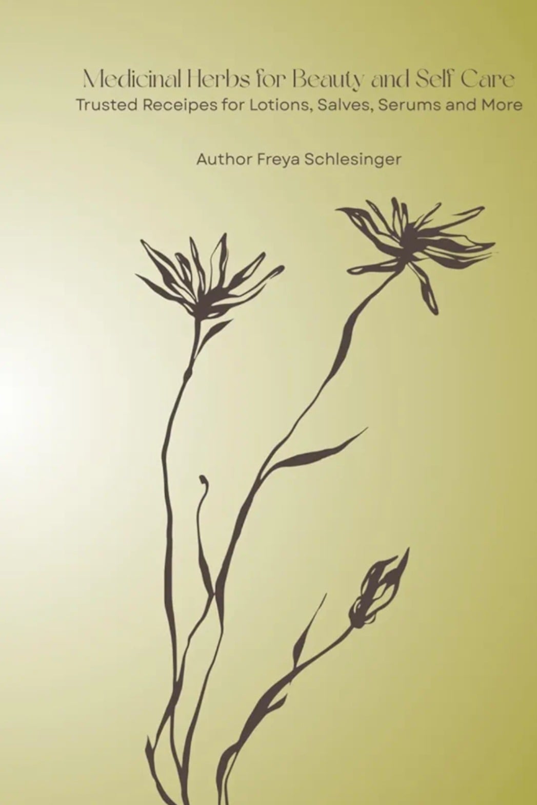 Medicinal Herbs for Beauty and Self Care book cover by Freya Schlesinger